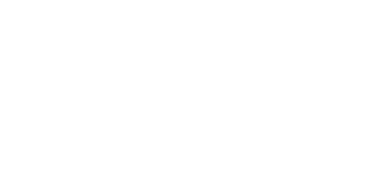 Jochen Leën