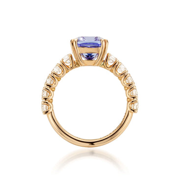 Solitaire Tanzanite - Jochen Leën